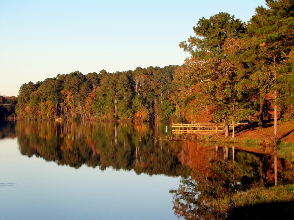 Arkansas, the "Natural State", offers plentiful opportunities to explore the outdoors.